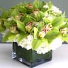 White Hydrangea&#039;s accompanied by green Cymbidium Orchid flowers in a low lying