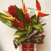 Bouquet includes ginger, heliconia, wax ginger, tropic Fleur and assorted colors anthurium