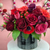 Panther roses steal the show with their velvet-like petals flecked with touches