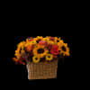 Sunflowers &amp; Red Rosses 