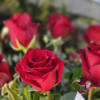The beautiful forever type of love by bloomnation with 16 red rose