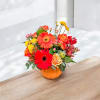 Mix of roses , chrysanthemum and more 
