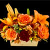 This beautiful fall-inspired design is perfect for any fall occasion. It includes