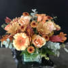 peach and brown