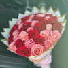 50 Red and Pink roses wrapped in a soft pink wrap with