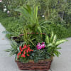 A beautiful  mix of greens and blooming plants make the perfect