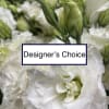 Designers Choice