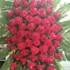 Spray with red roses.