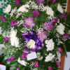 This arrangement showcases stunning purple roses and elegant white spider mums, all