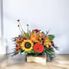 Bring Fall home