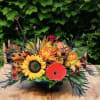 Bring Fall home