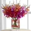 The Perfect Harmony Bouquet is a bright burst of incredible color and