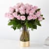 The picture perfect petals of pink roses gracefully unfold, showcasing their timeless