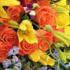 LOOSE FRESH FLOWERS BOXED (NO VASE)

A NICE SEASONAL ASSORTMENT OF PREMIUM BLOOMS