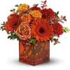 Celebrate the wonder of a new day with warm, golden flowers. A