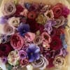 Beautiful and colorful stylish flower box full of fresh seasonal flowers in