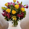 Yellow roses are a symbolism of friendship. Beautifully acciented with stunning purple
