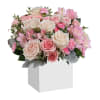 Nothing&#039;s sweeter than the prettiest pink and cream roses presented in a