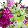 Vibrant and lively essence of a flower arrangement dominated by hot pink