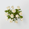 White roses are elegant, luminous, and beautifully accent any room. With a