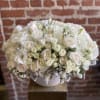 &quot;Dreams&quot; is an elegant floral arrangement featuring pristine white roses and delicate