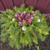 Half size fresh pine grave covering. Your choice of color of bow