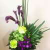 Tropicals in a zen green dish.