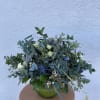A mix of fresh eucalyptus with touches of blue thistle, one succulent