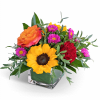 This bright, cheery floral arrangement will add a little flair to any