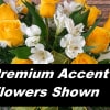 The size of these roses alone are sure to make an impression