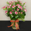 Candy Cane mini carnations arranged in a vase and tied with a