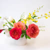 A beautifully sweet accent piece! Try to imagine a tropical island. If