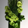 A very modern and stylish arrangement of horsetail and lime green anthriums.