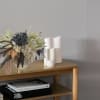 White king protea, giant Dutch Succulents, bleached and preserved ruscus, Amaranthus sun