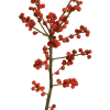 Fresh Ilex Branch