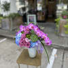 Enhance any space with our sophisticated flower arrangements in vases from Elegance