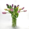 Mix of 20 rainbow tulips created for the most beautiful woman.

 
The
