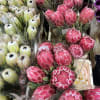 Native to the warm climates of Africa and Australia, Protea flowers are
