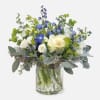 [ Height: 11&#039;&#039; - 12&#039;&#039; | Diameter: 13&#039;&#039; - 14&quot; ]
A crisp