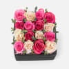 [ Height: 6&quot; | Width: 8&quot; | Length: 8&quot; ]
This sweet display