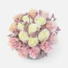 [ Height: 10&#039;&#039; - 11&#039;&#039; | Diameter: 10&#039;&#039; - 11&#039;&#039; ]
A delicate