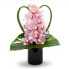 [ Height: 15&#039;&#039; - 17&#039;&#039; | Diameter: 9&#039;&#039; - 11&#039;&#039; ]
A single