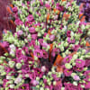 Native to the southern United States, Mexico, and the Caribbean, Lisianthus is