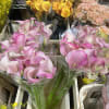 Native to South Africa, the elegant Calla Lily has long been admired
