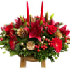 This stunning holiday arrangement is a vibrant celebration of the season, featuring