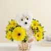 Our 3D flower pup is the best pick-me-up for anyone under the