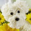 Our 3D flower pup is the best pick-me-up for anyone under the