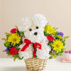 Unleash smiles with our DOG In a Basket arrangement! Hand-designed in a