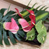 Send a heartfelt &quot;Aloha&quot; to the U.S. Mainland with our exquisite bouquet