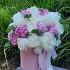 Indulge in the charm of our pink and white peonies, nestled within